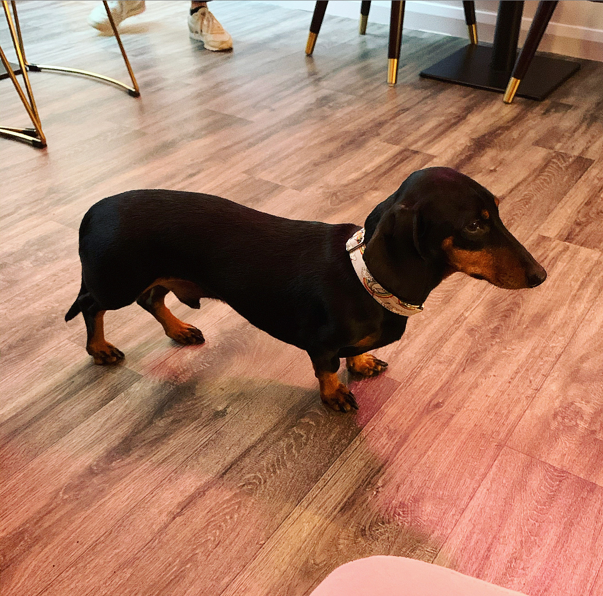 Chocolate Afternoon Tea at Cocoa Cabana